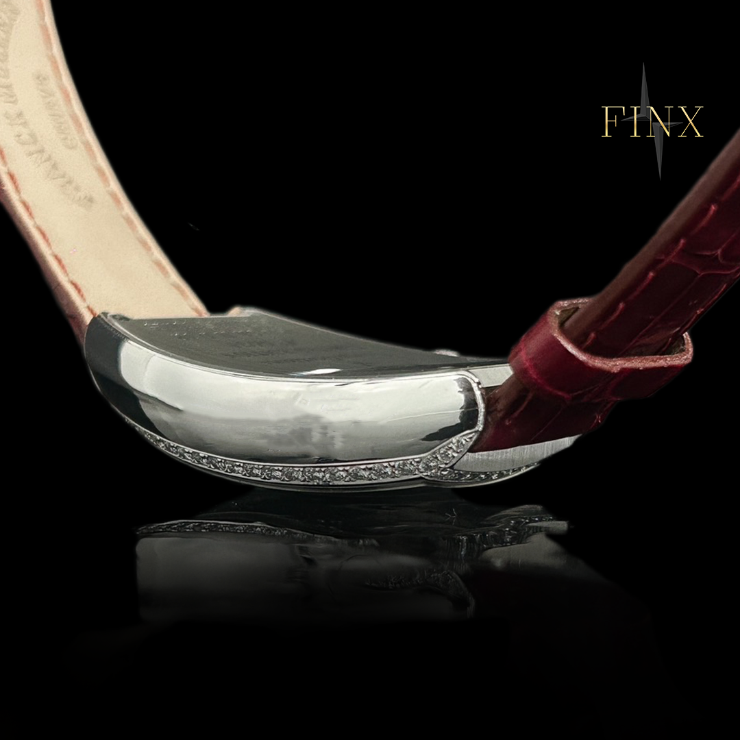 franck muller crazy hours Protective Kit