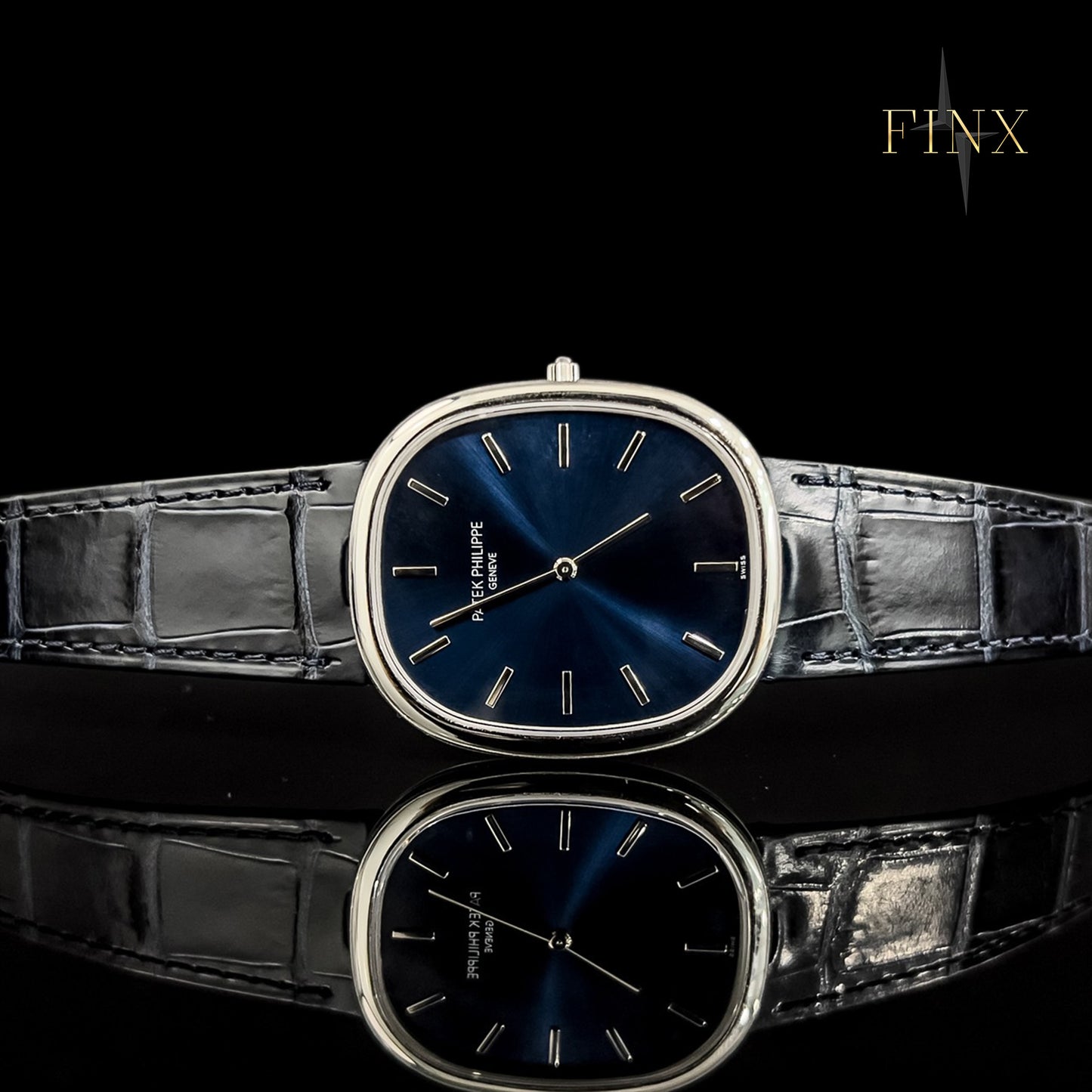 Patek Philippe Ellipse 5738P Protective Kit