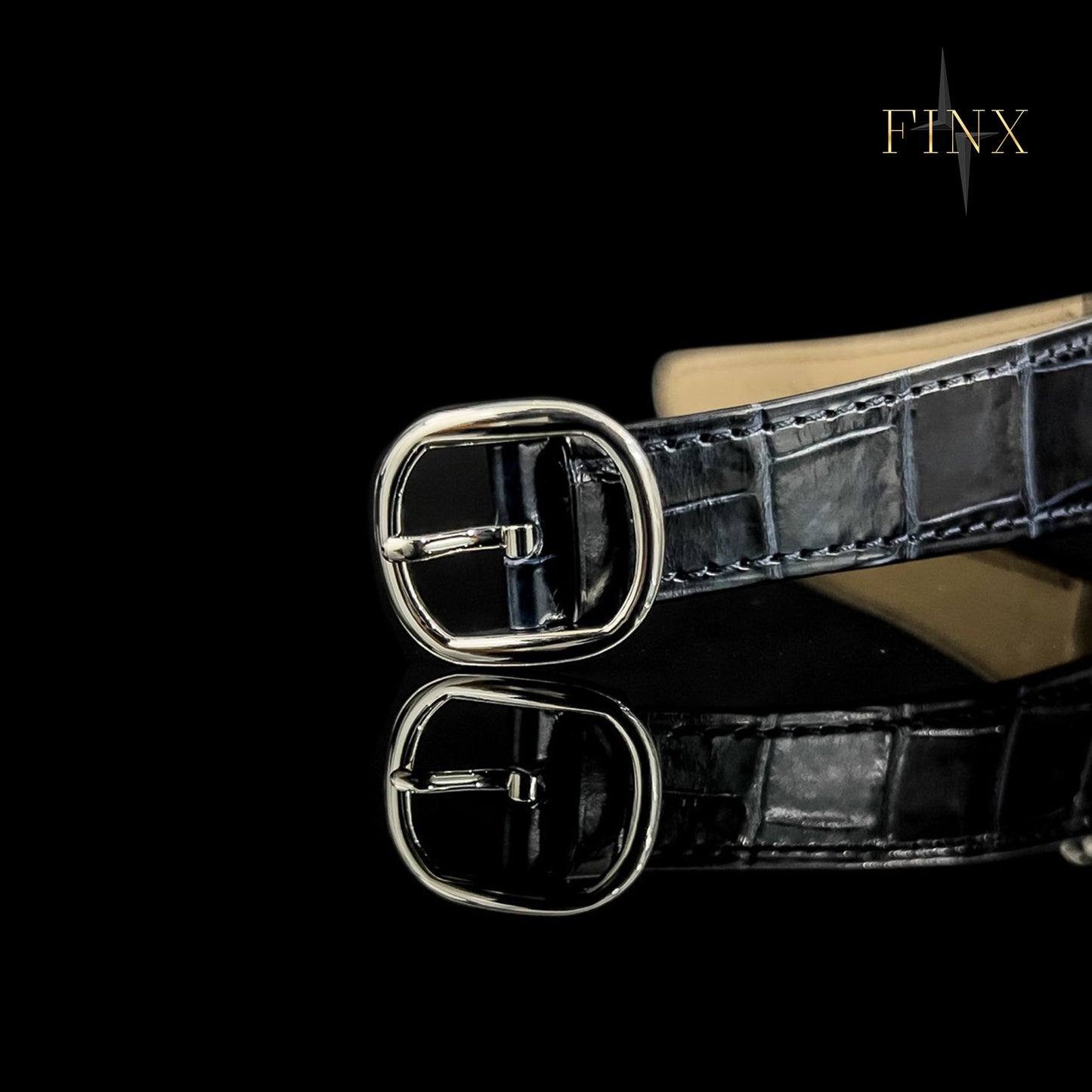 Patek Philippe Ellipse 5738P Protective Kit