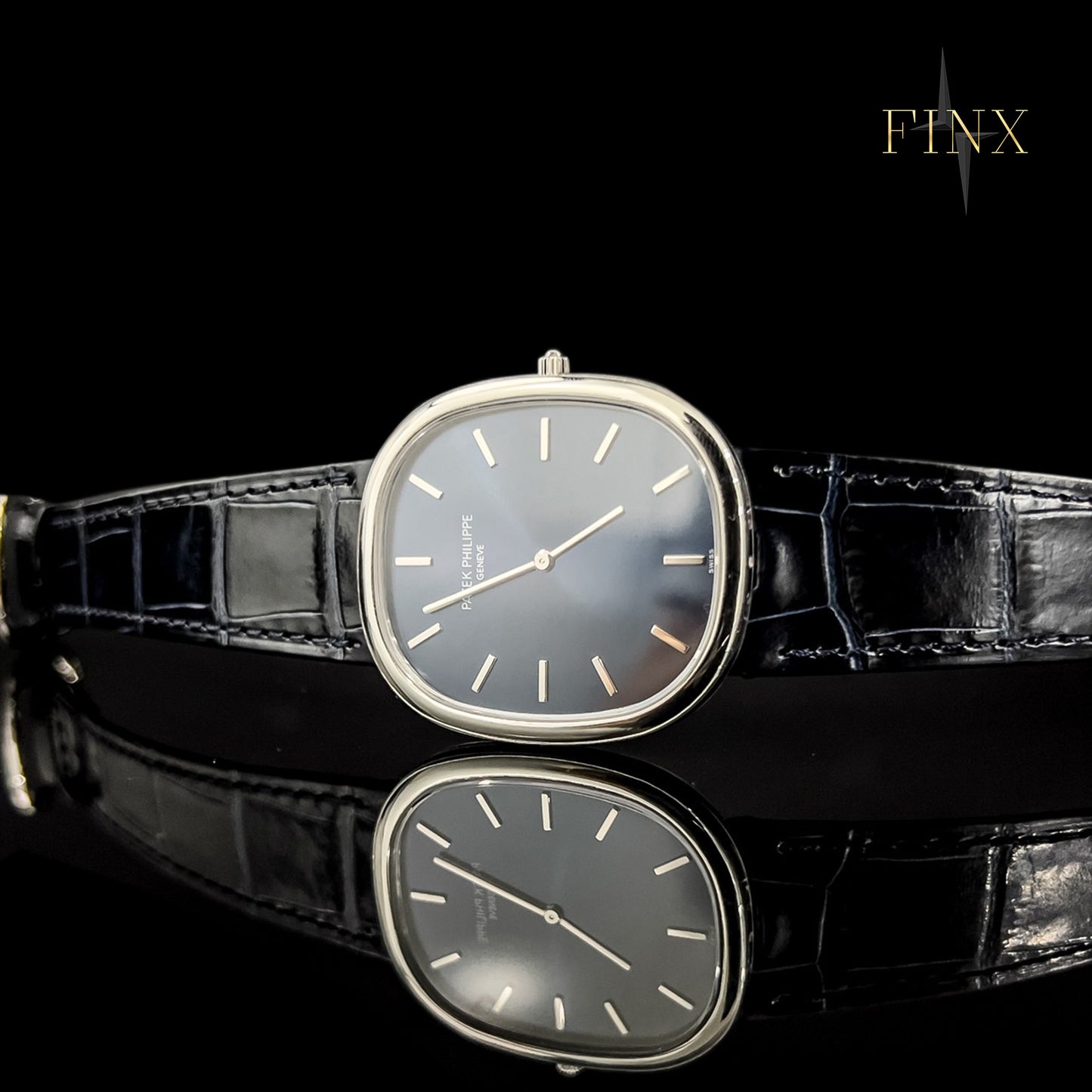 Patek Philippe Ellipse 5738P Protective Kit