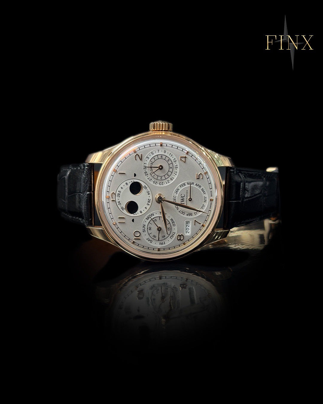 IWC Portuguese Perpetual Calendar 44 IW503701 Protective Kit