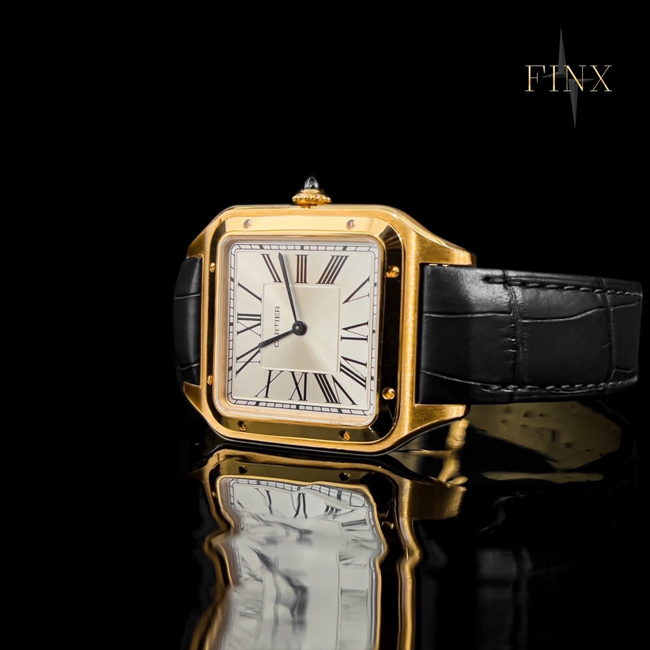 Cartier Santos Dumont WSSA0032 Protective Kit