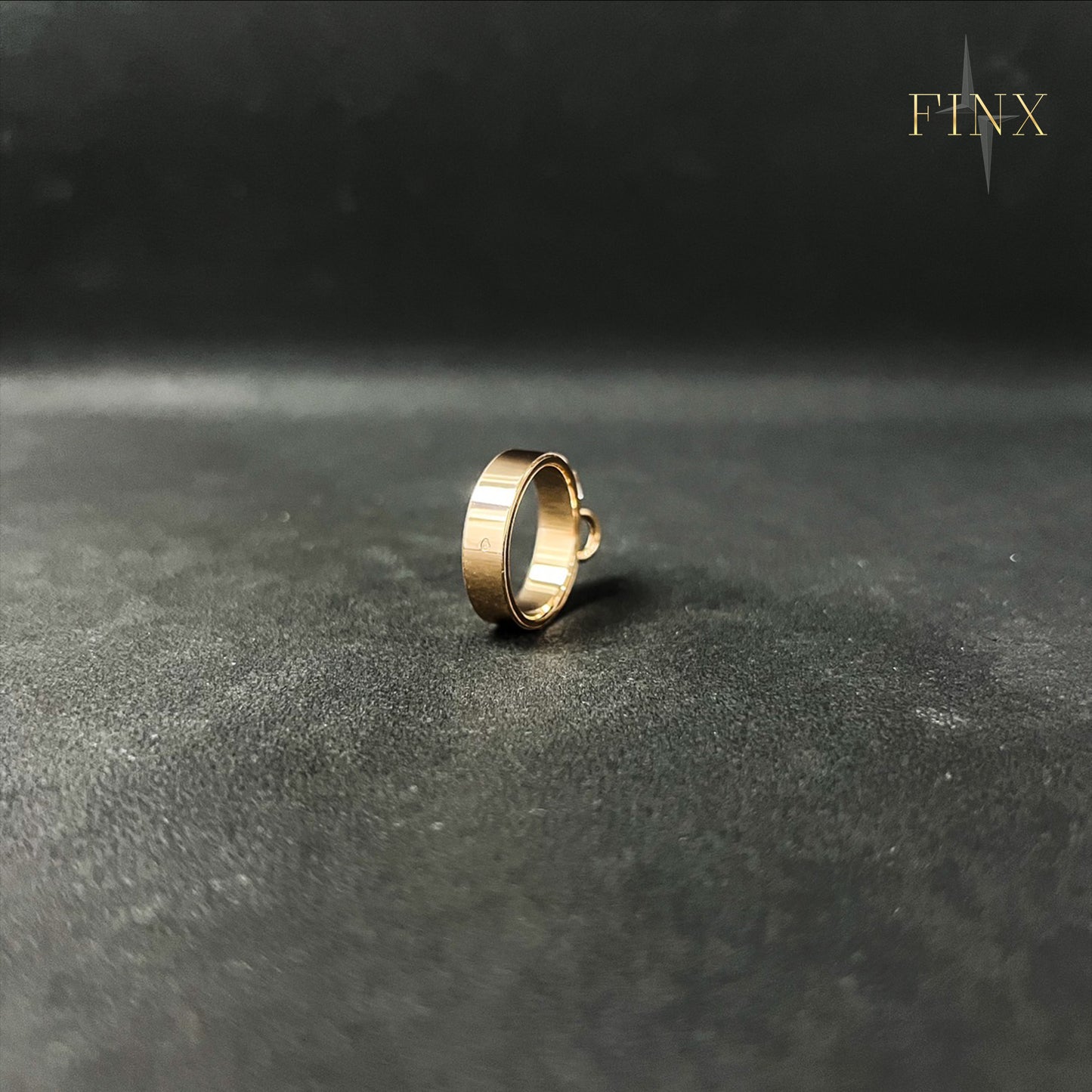 Hermes Collier de Chien Ring SIZE 52 Protection Kit