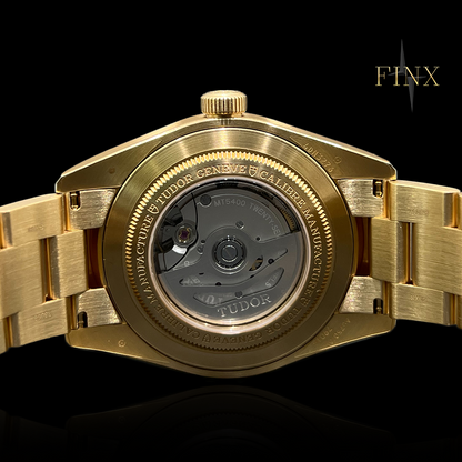 Tudor Black Bay 58 M79018v-0006 Protection Kit