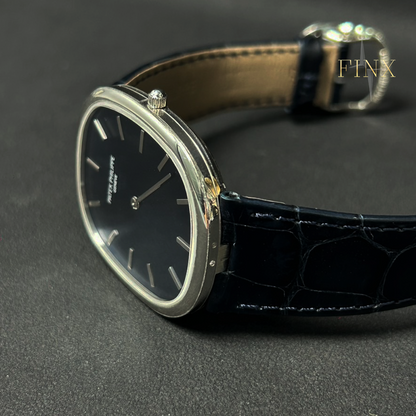 Patek Philippe Golden Ellipse 5738P-001 Protection Kit