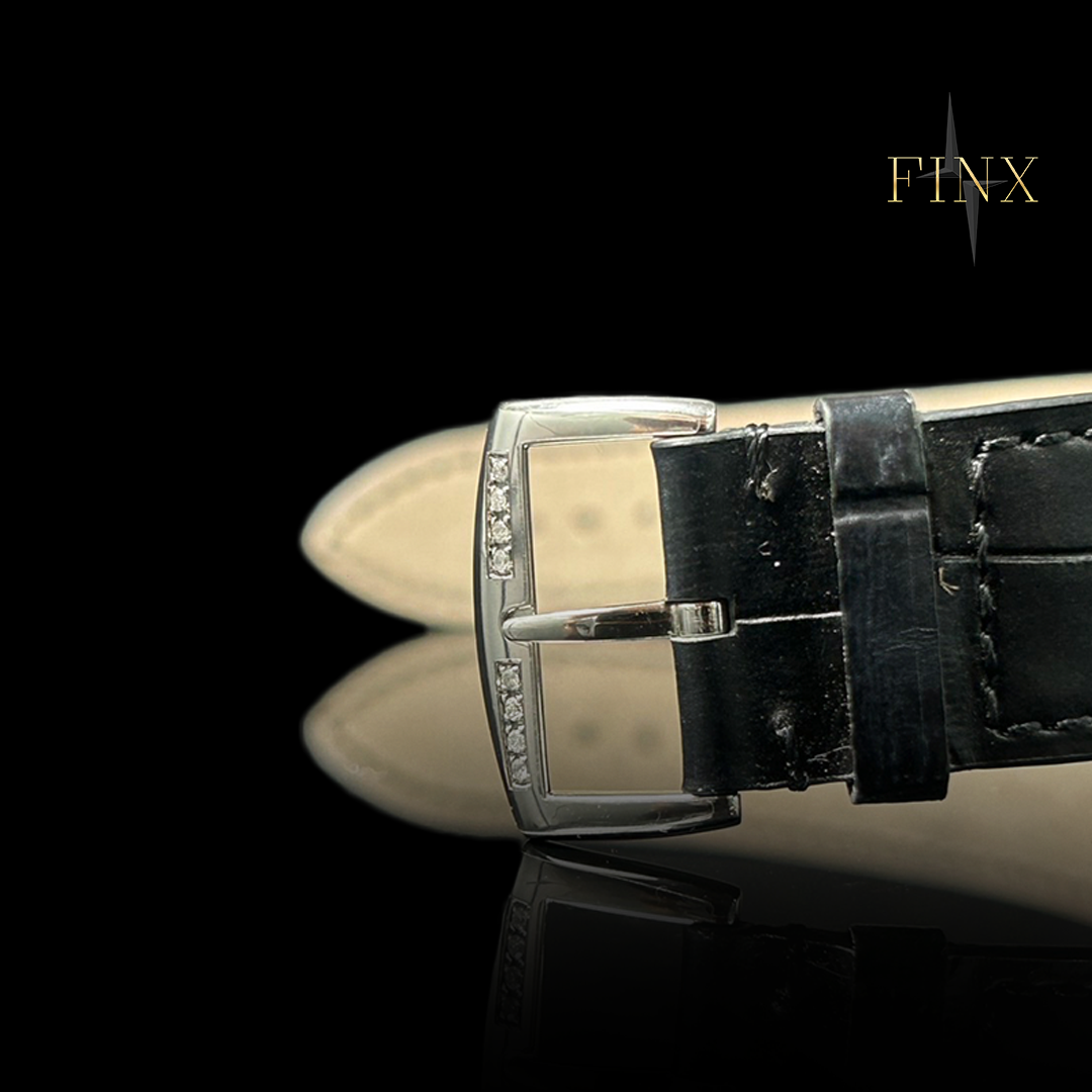 Franck Muller Galet 3002 M Protective Kit