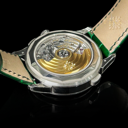 ชุดป้องกันภาวะแทรกซ้อนของ Patek Philippe 5930P-001