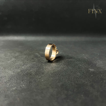 Hermes Collier de Chien Ring SIZE 52 Protection Kit